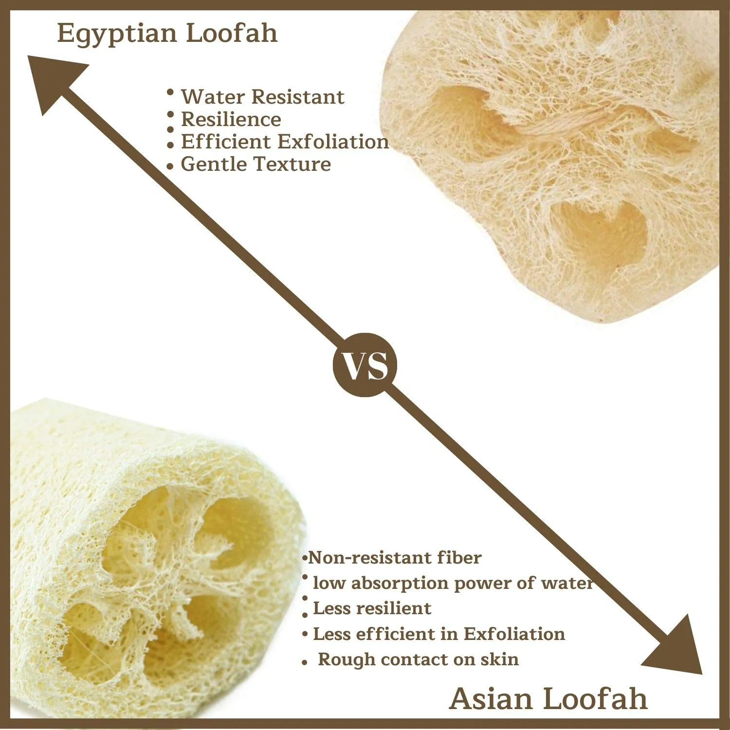 All Natural Loofah Sponge, Pack of 1 Real Egyptian Bath & Shower Exfoliating Loofa Scrubber Sponges for Face, Back & Body, Eco Friendly, No Toxic Chemicals, 6" x 6" by Crafts of Egypt Set of 1